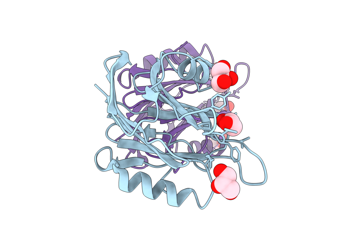1O71 image
