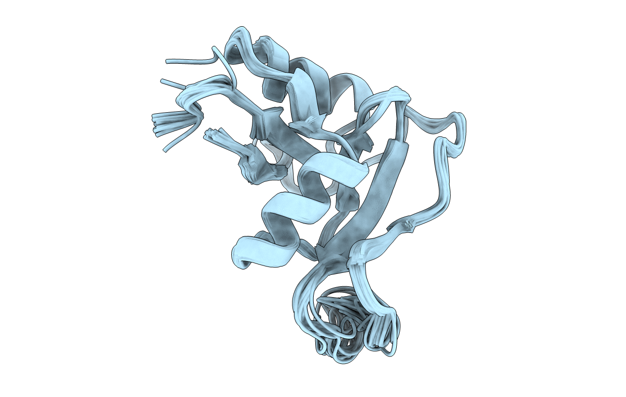 1O7C image