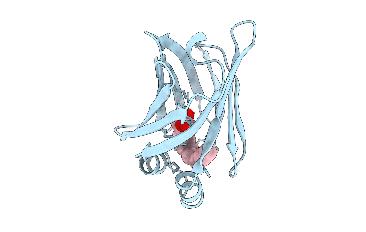 1O8V image