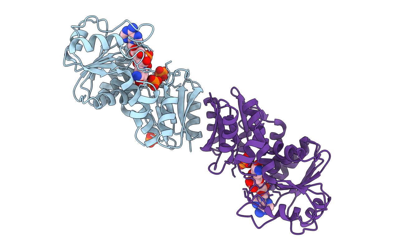 1O9B image