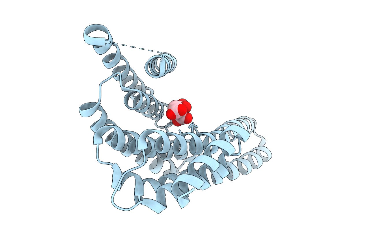 1O9C image