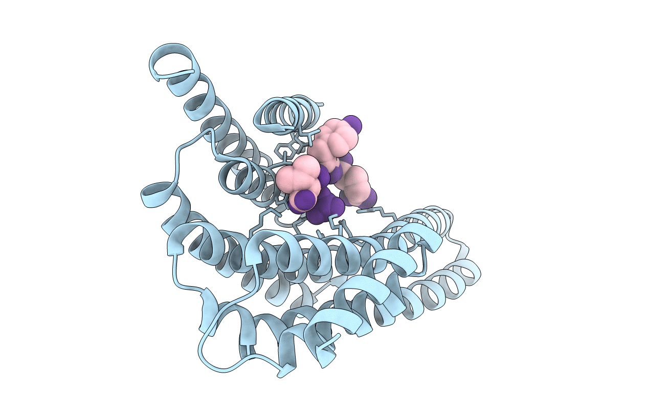 1O9D image