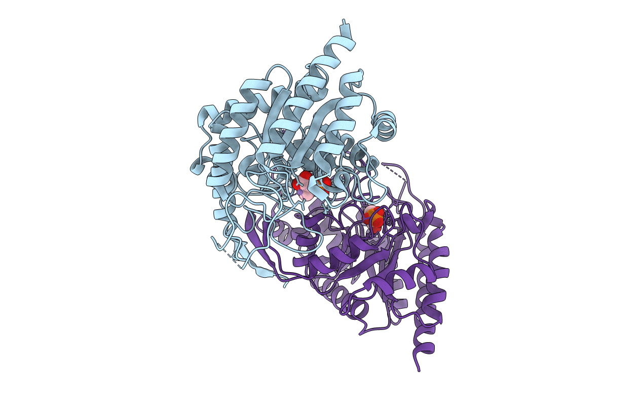 1OAB image