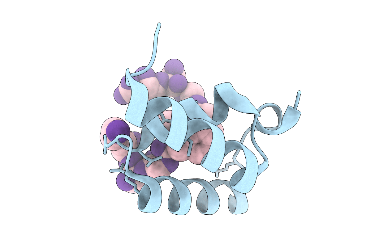 1OAI image