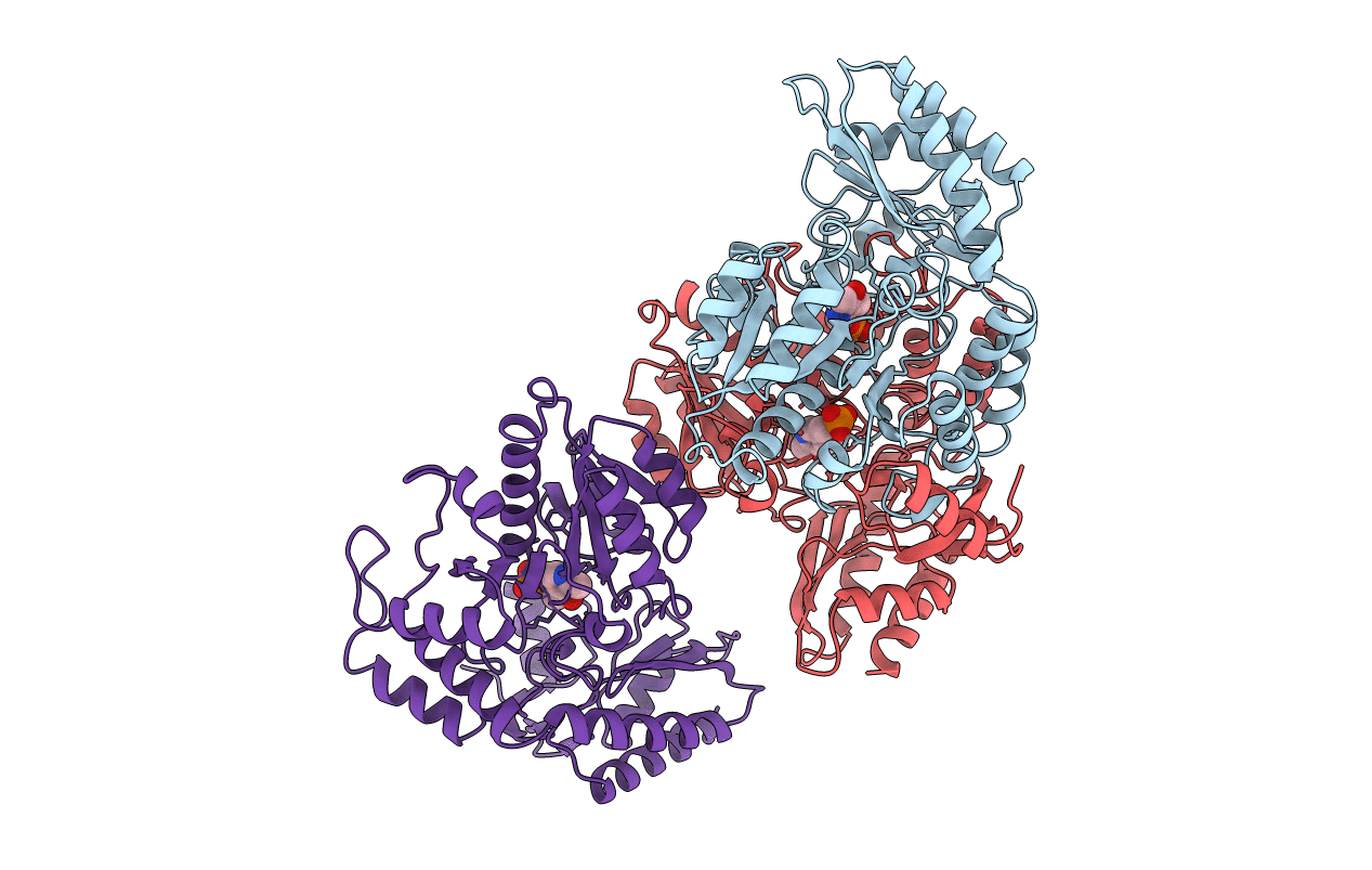 1OAT image