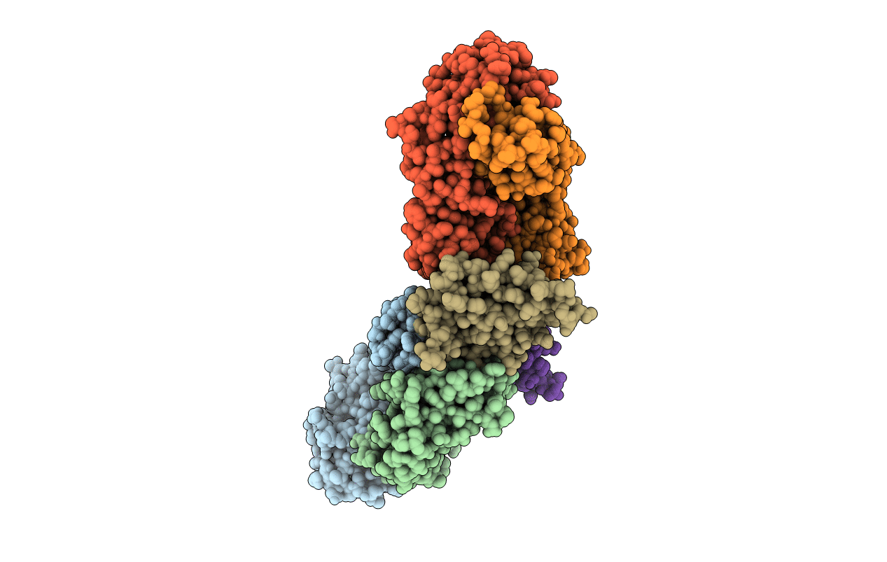 1OB1 image
