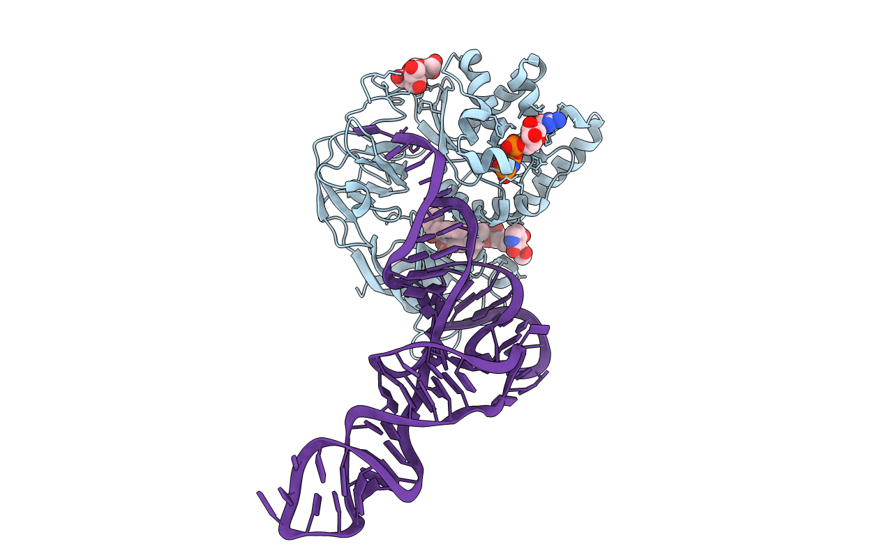 1OB2 image