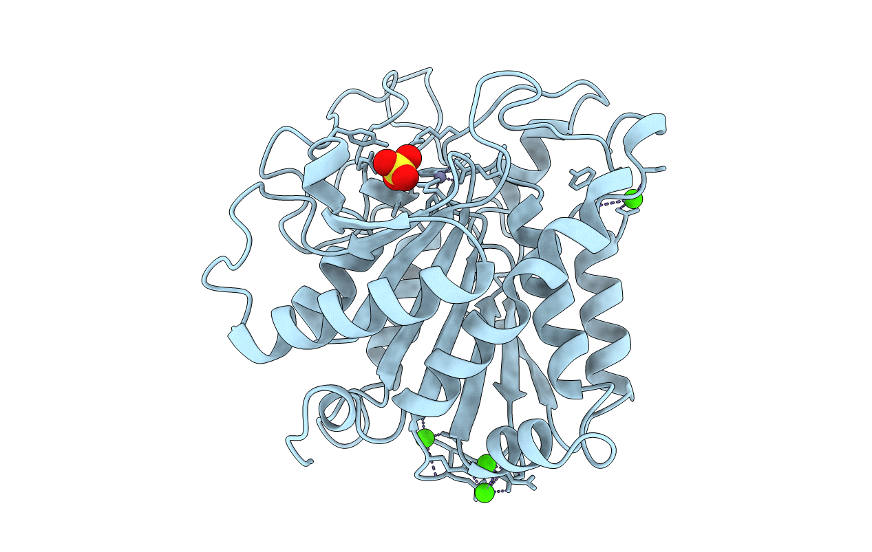 1OBR image