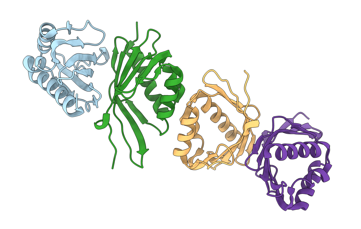 1OCV image