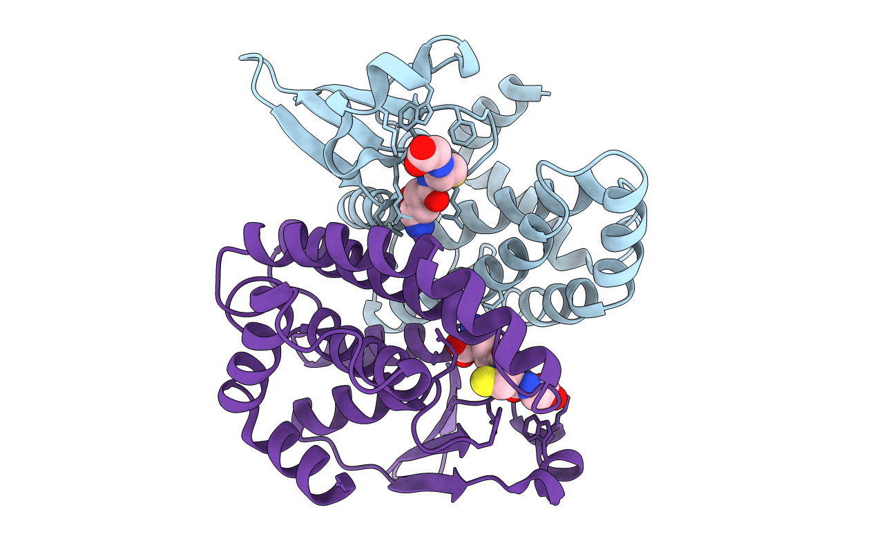 1OE7 image