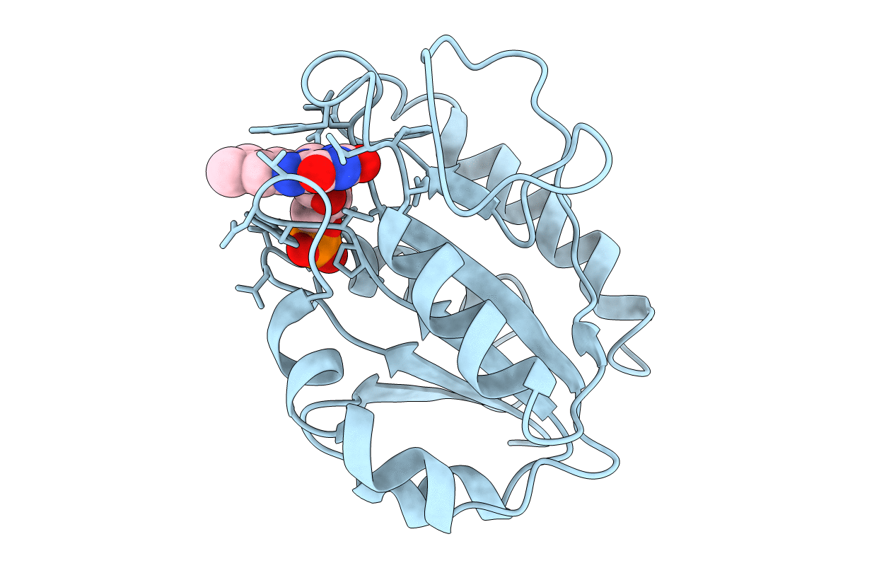 1OFV image