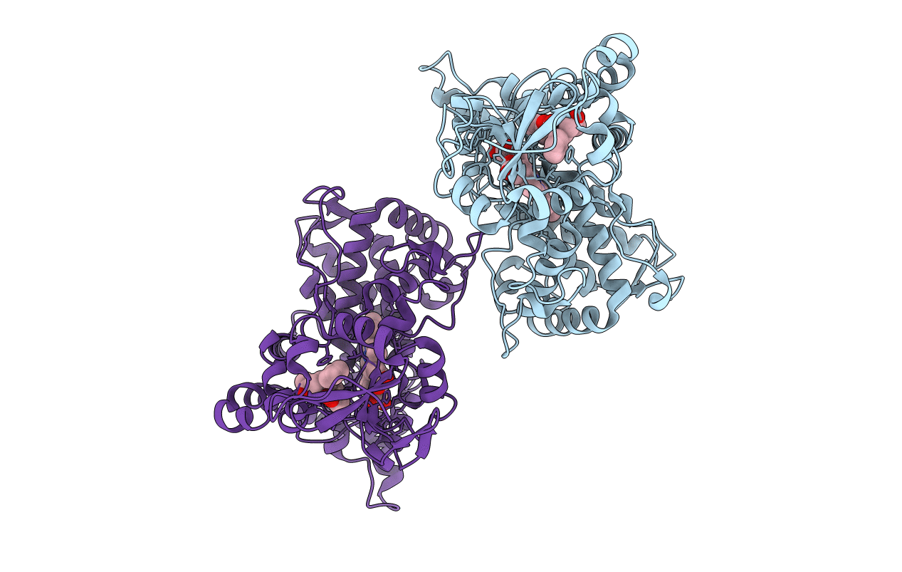 1OG5 image