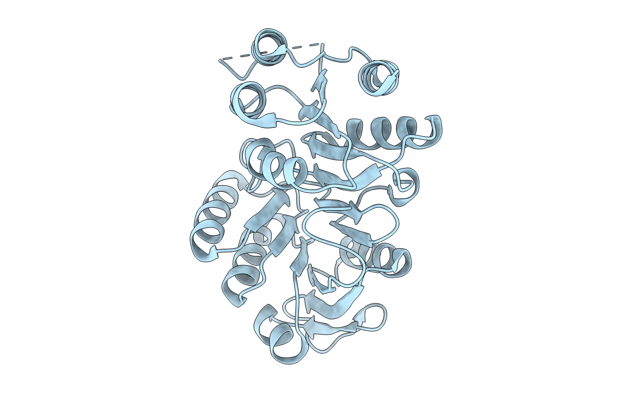 1OI7 image
