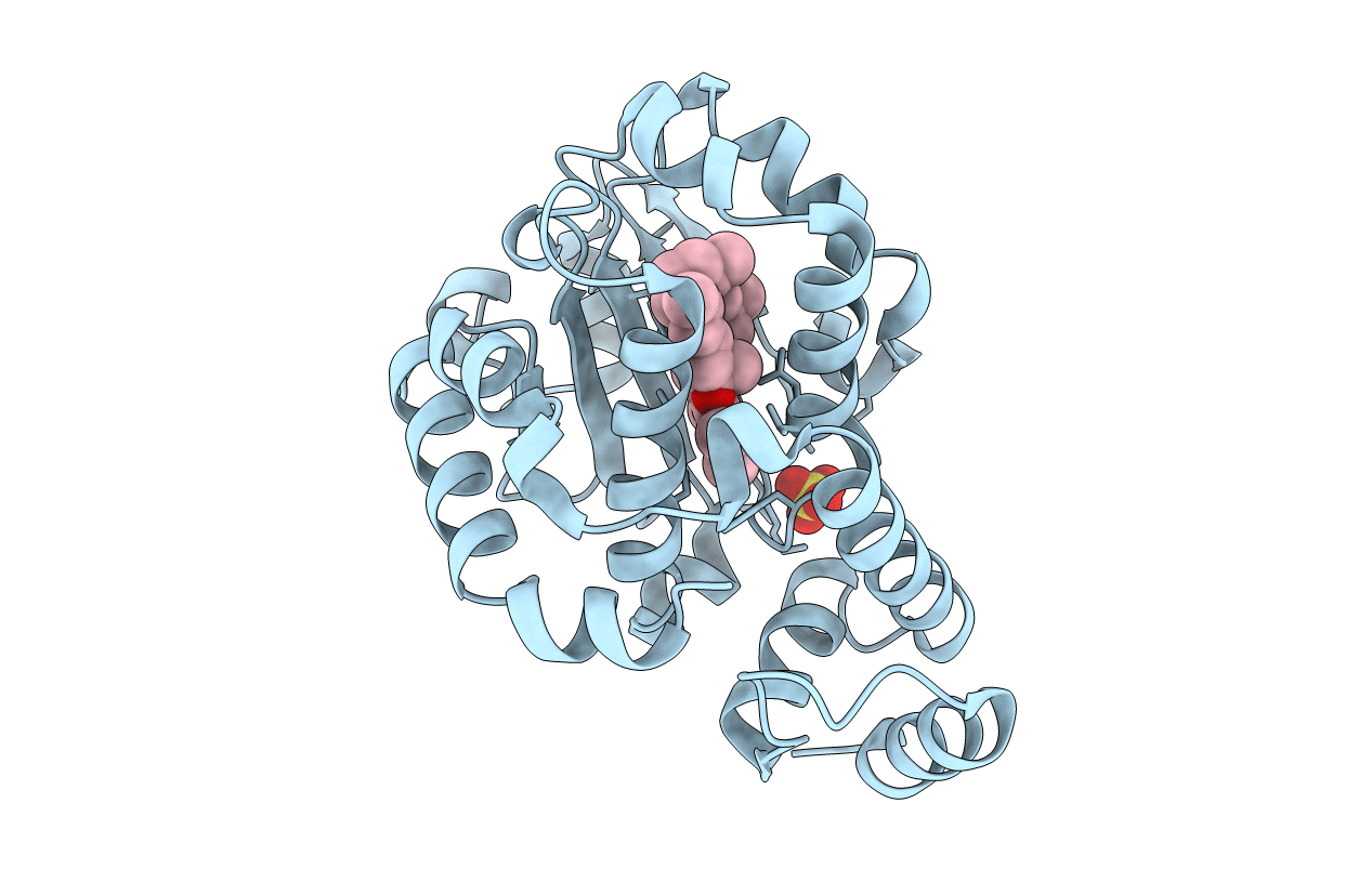 1OIP image