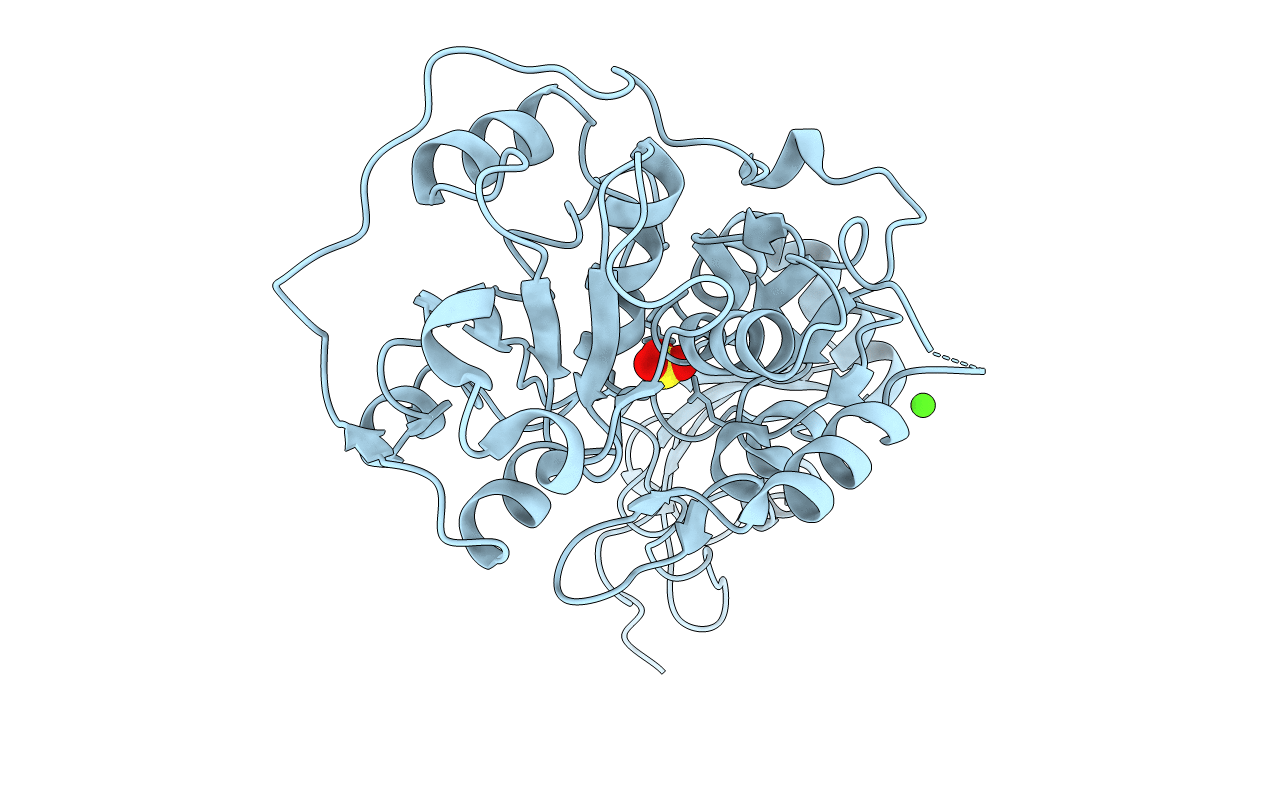 1OKG image