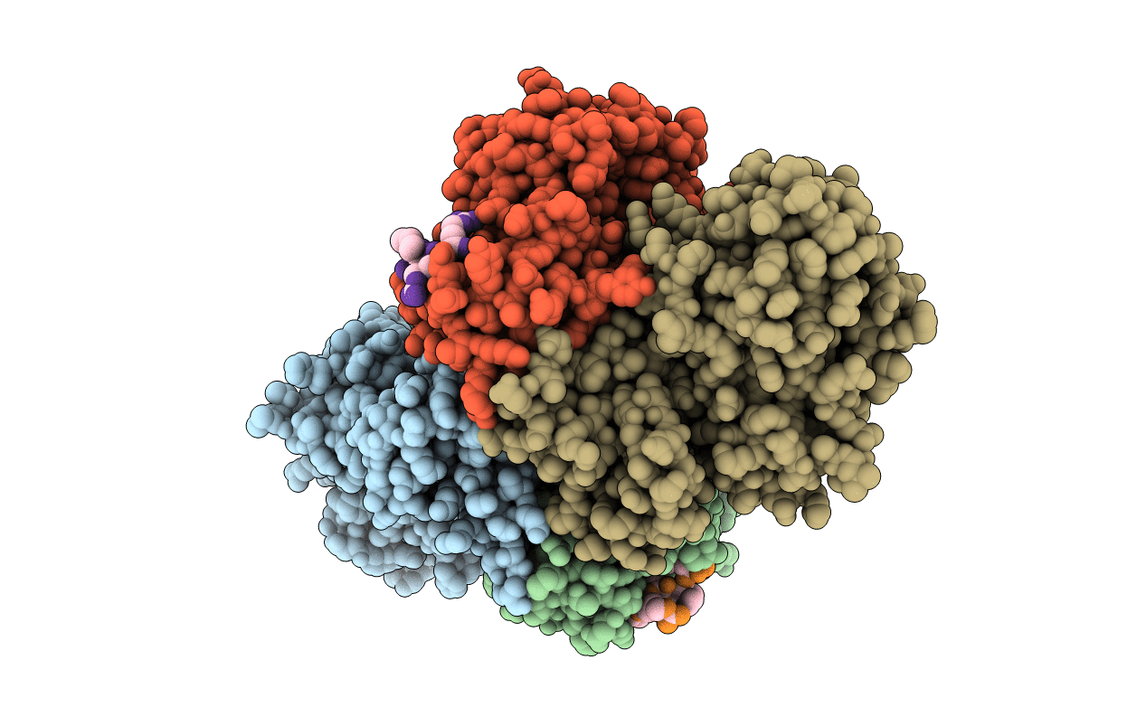 1OKV image