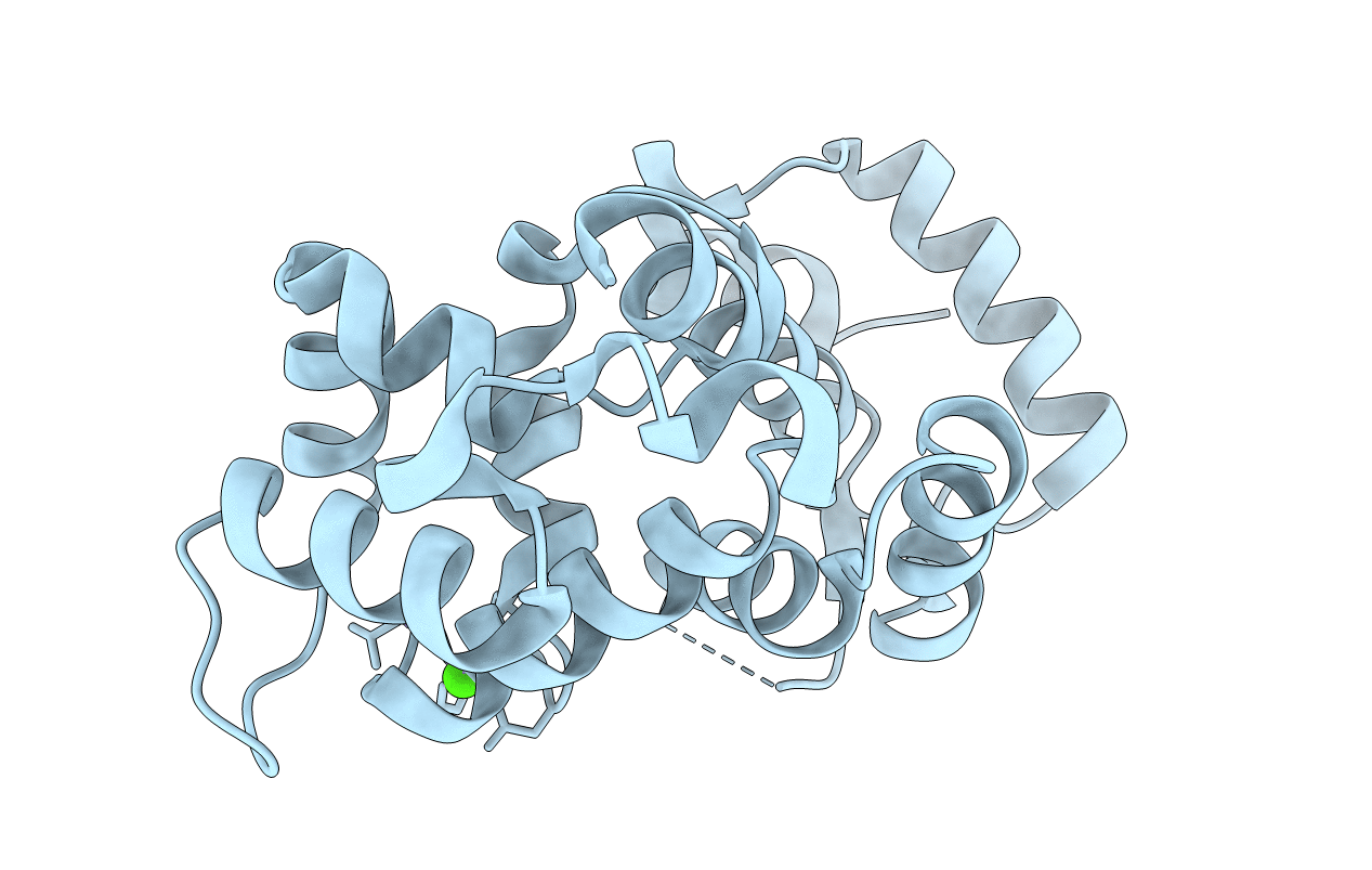 1OMV image