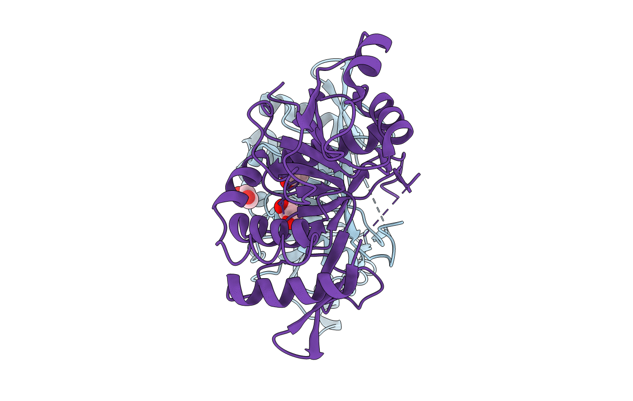 1OMX image