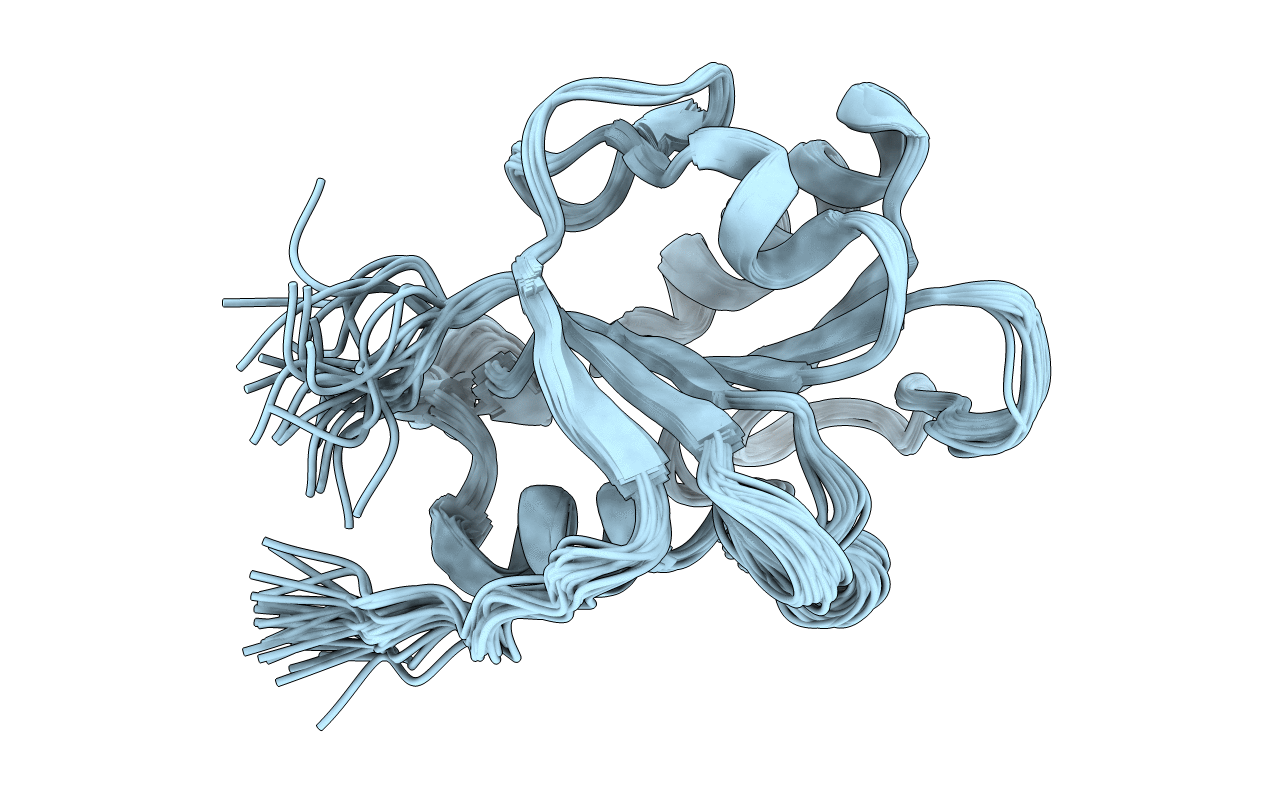 1ONB image