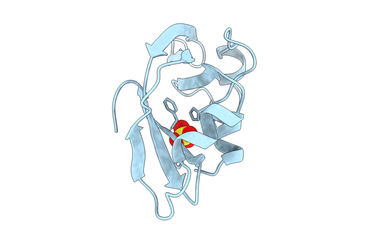 1ONC image