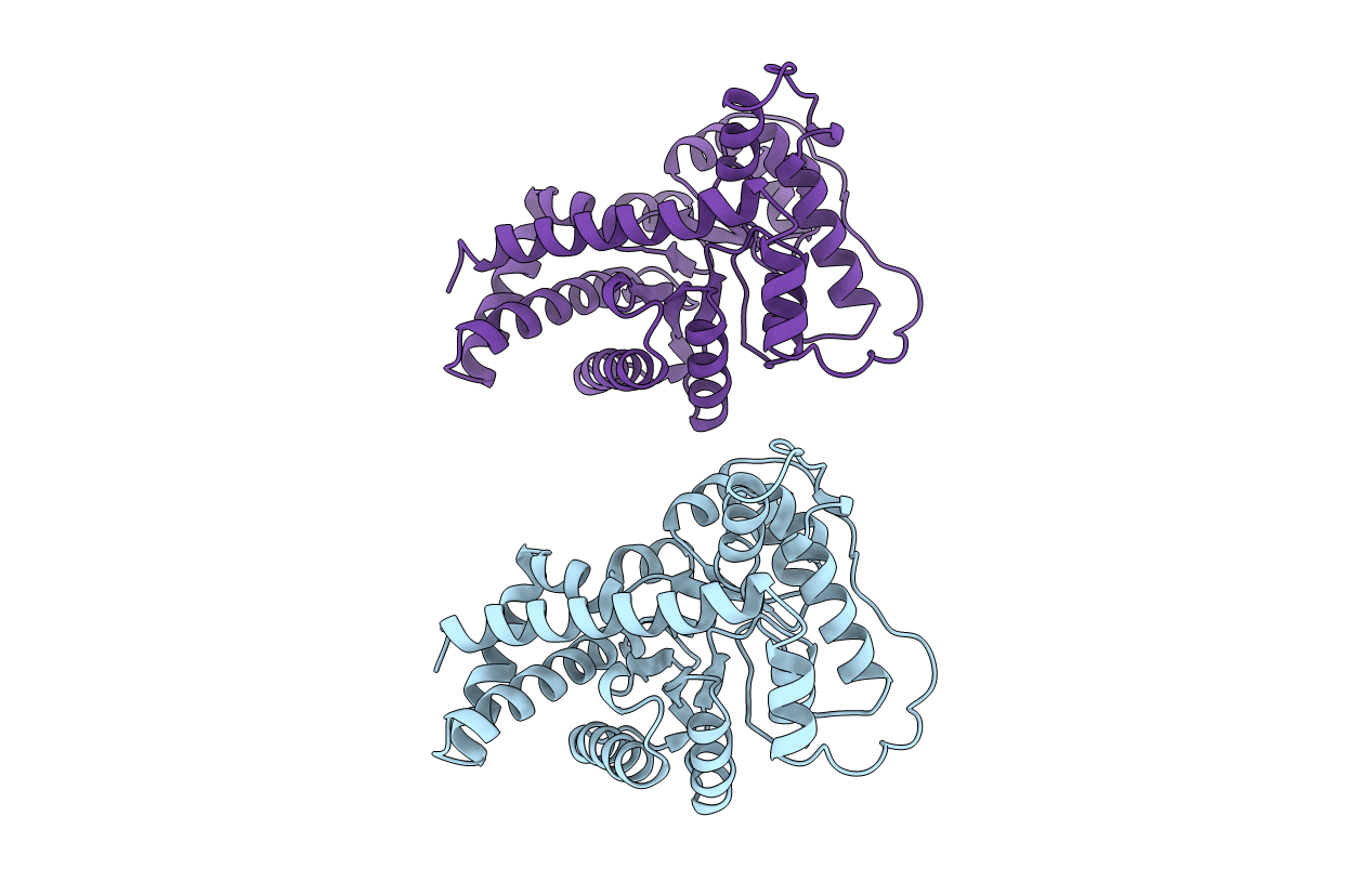 1ONR image