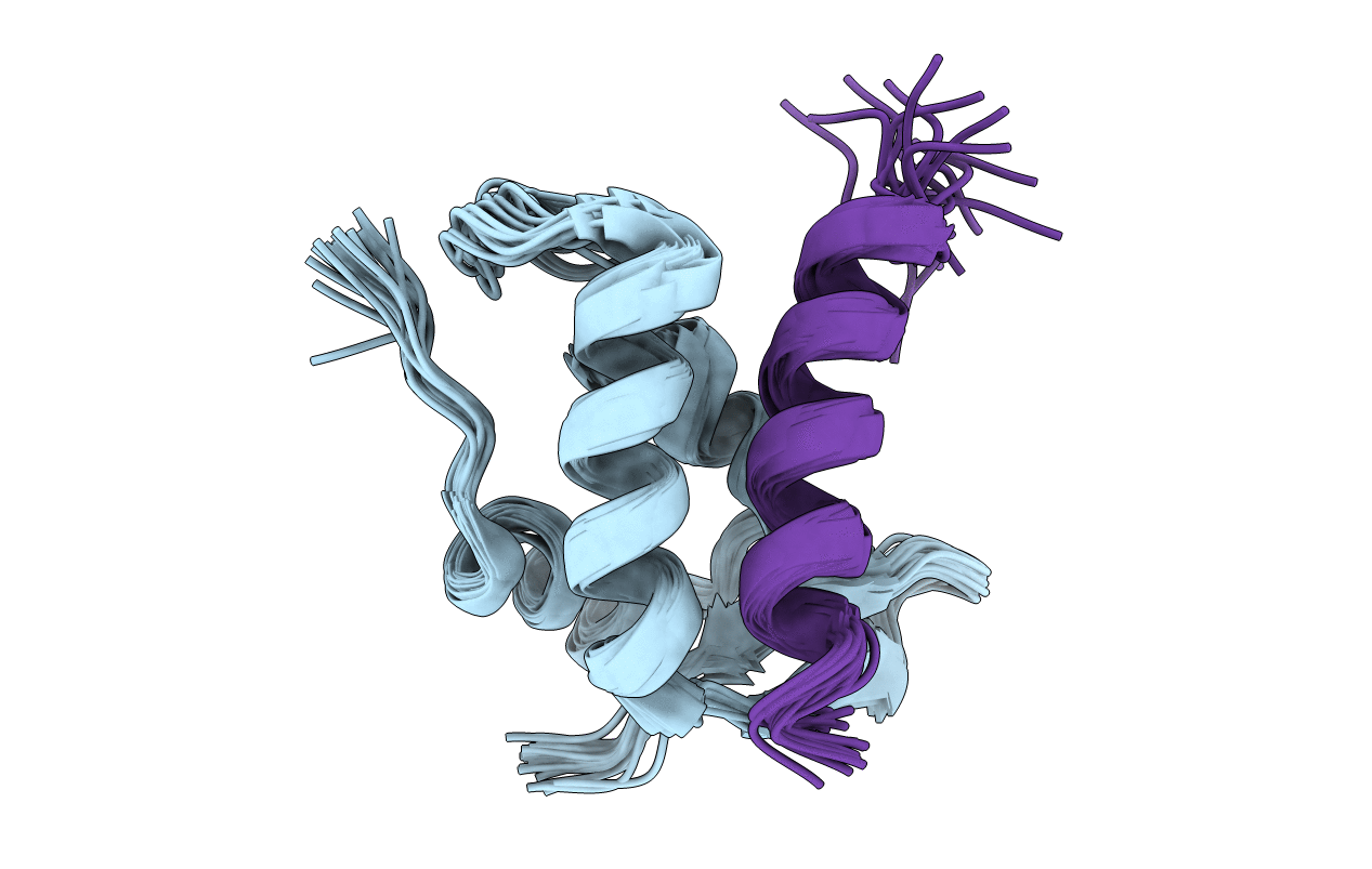 1ONV image