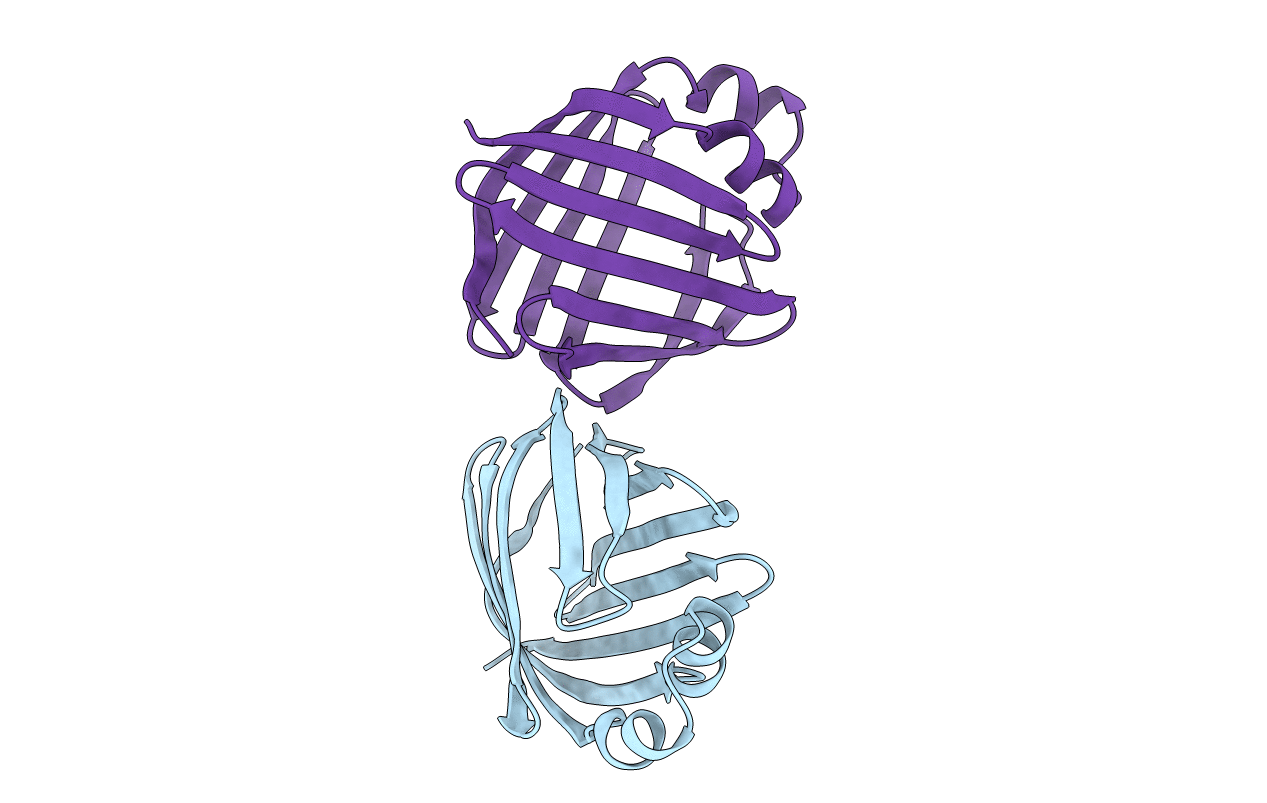 1OPA image