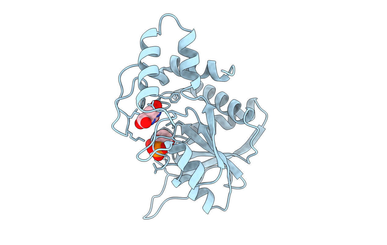 1OPR image