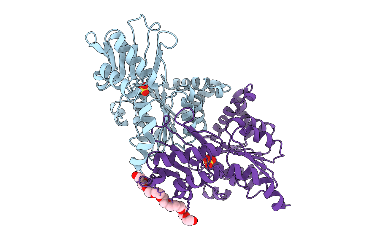 1OPX image