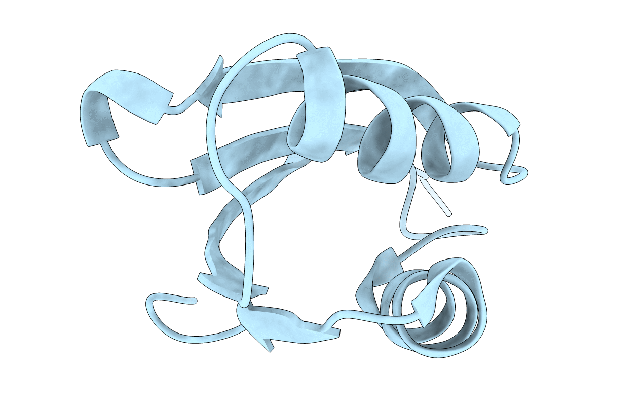 1OPZ image
