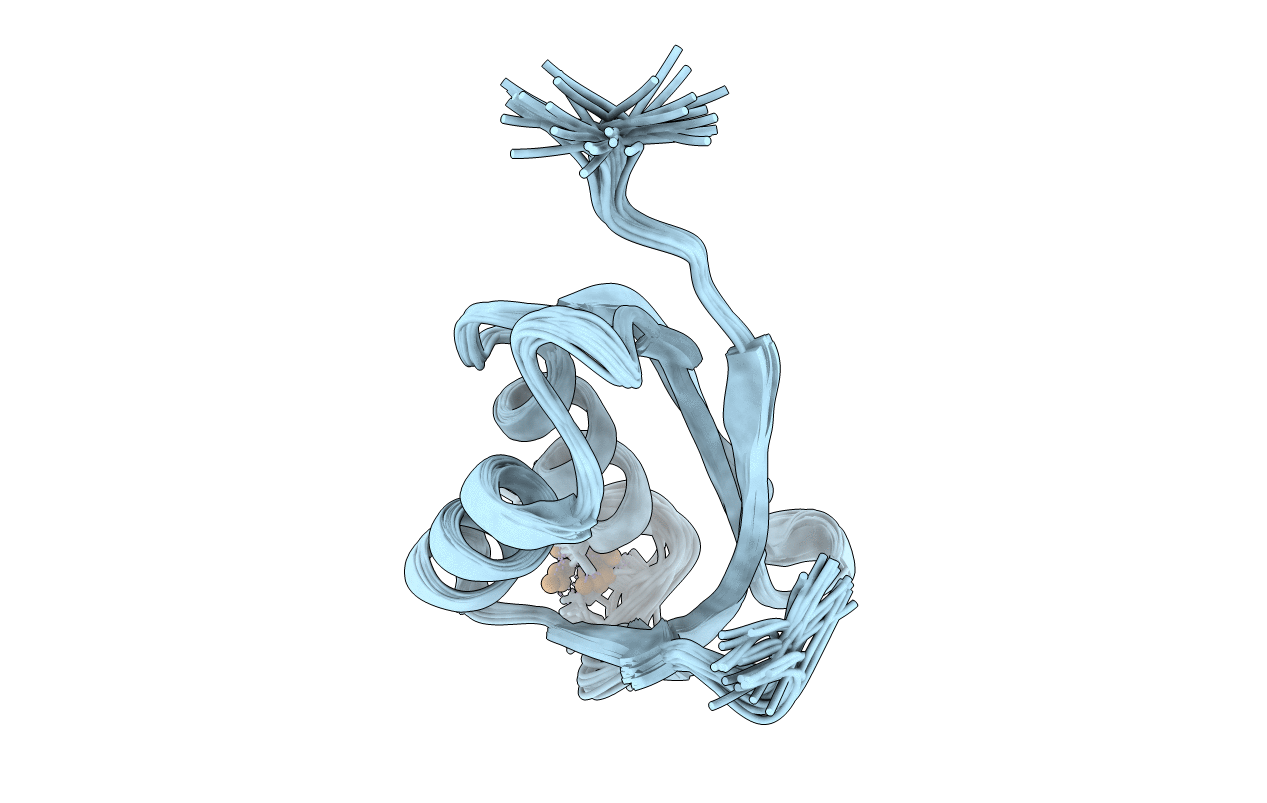 1OQ6 image