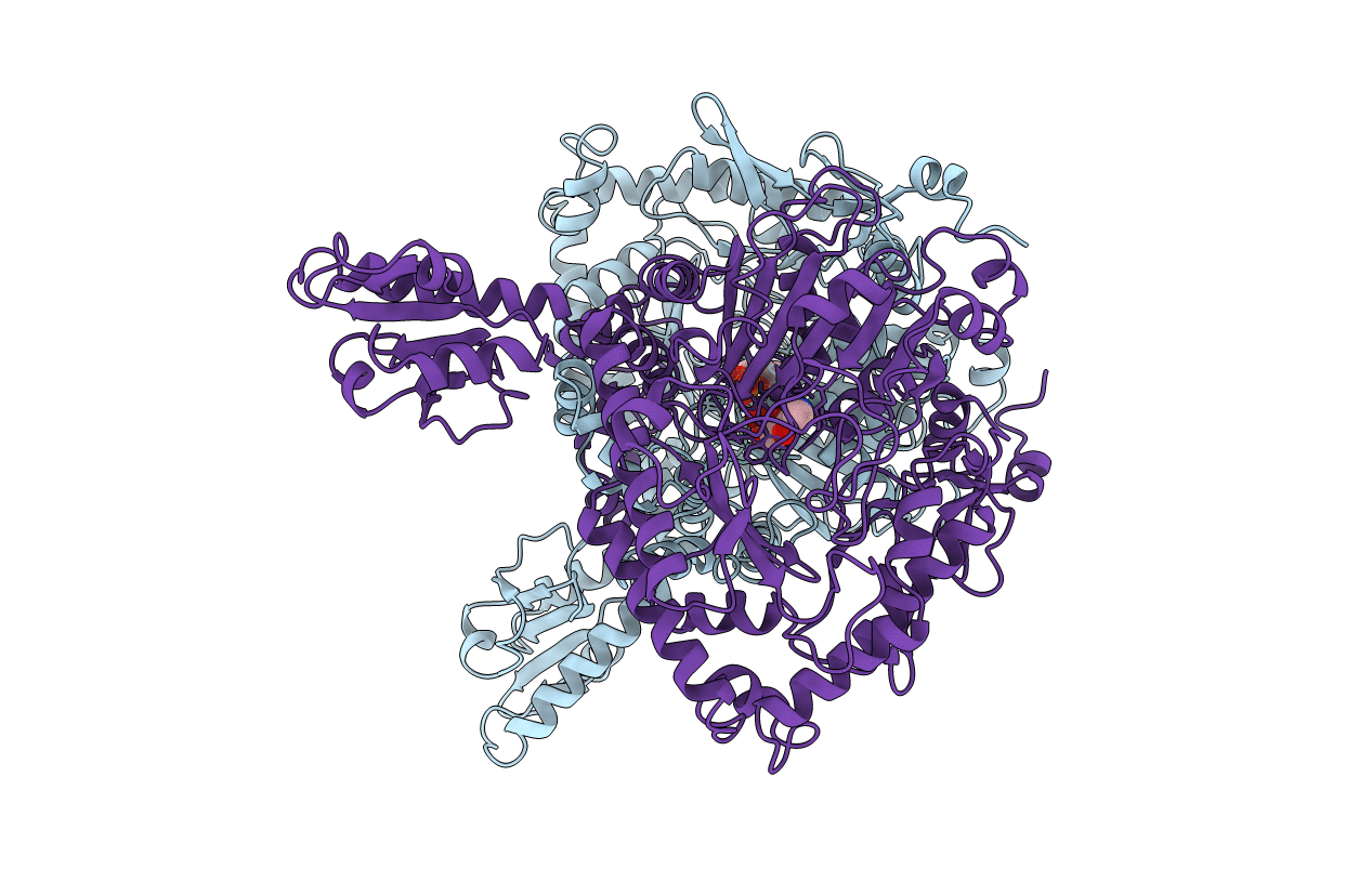 1ORD image