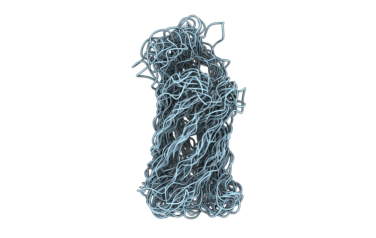 1ORM image