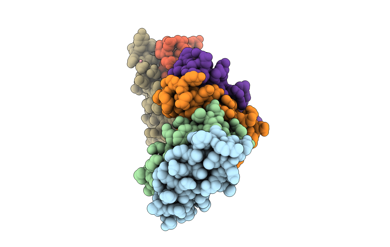 1OVV image