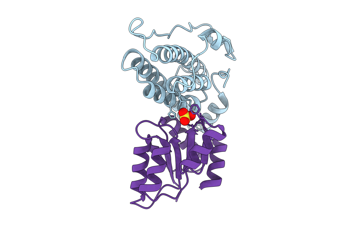 1OXB image