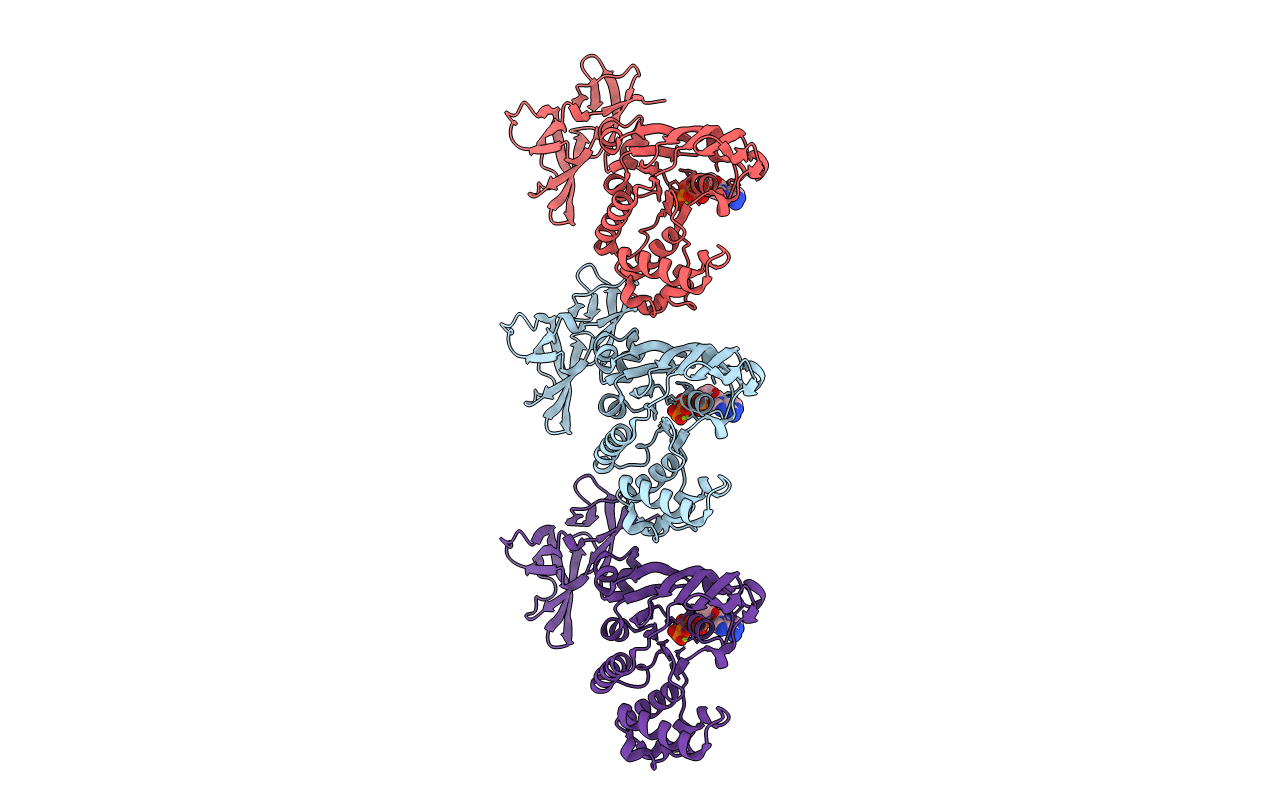 1OXV image