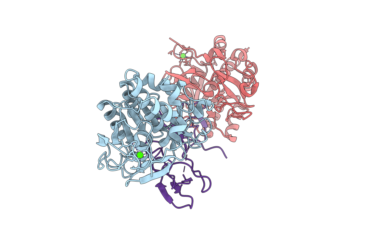 1OYV image