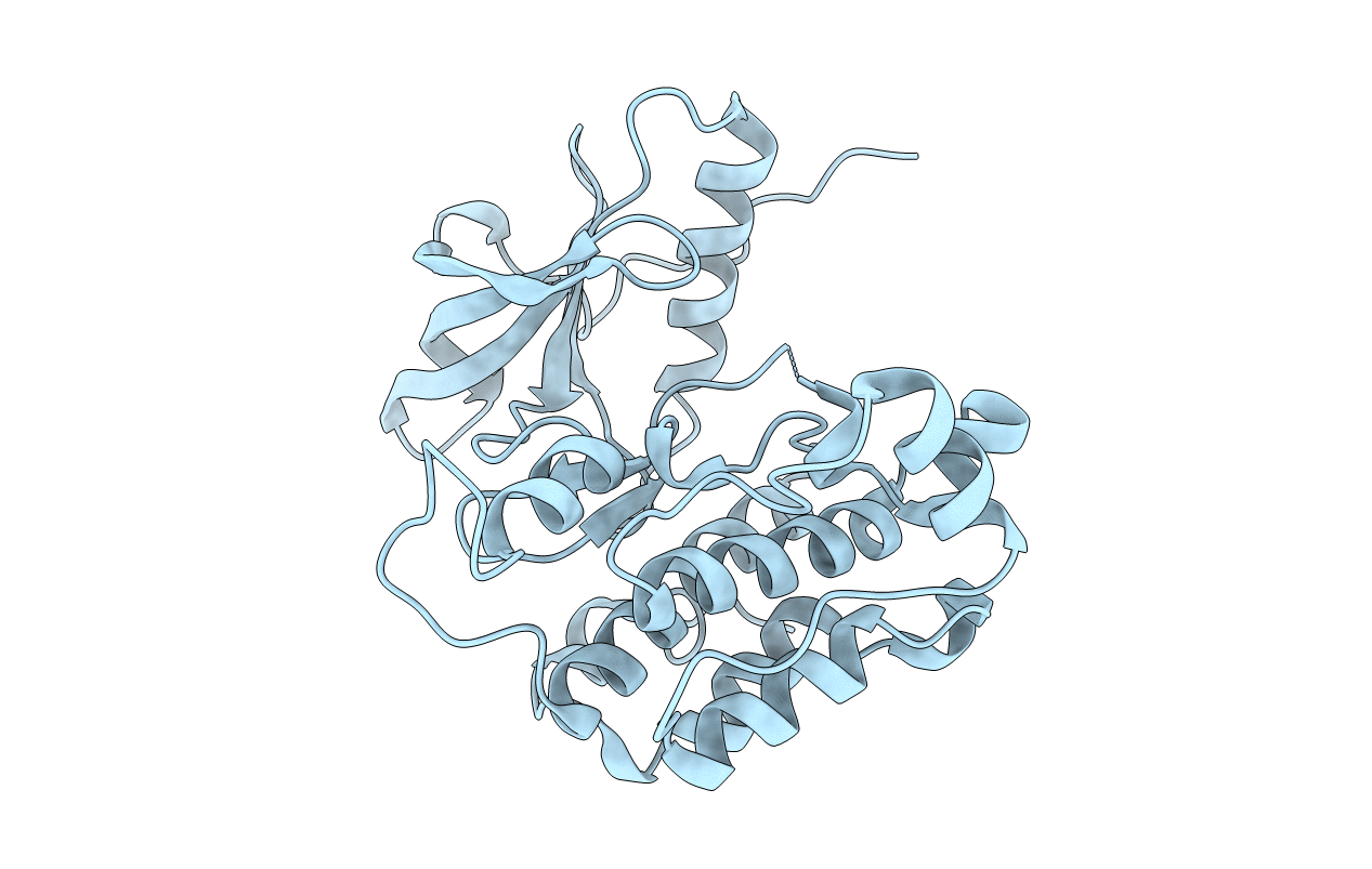 1P14 image