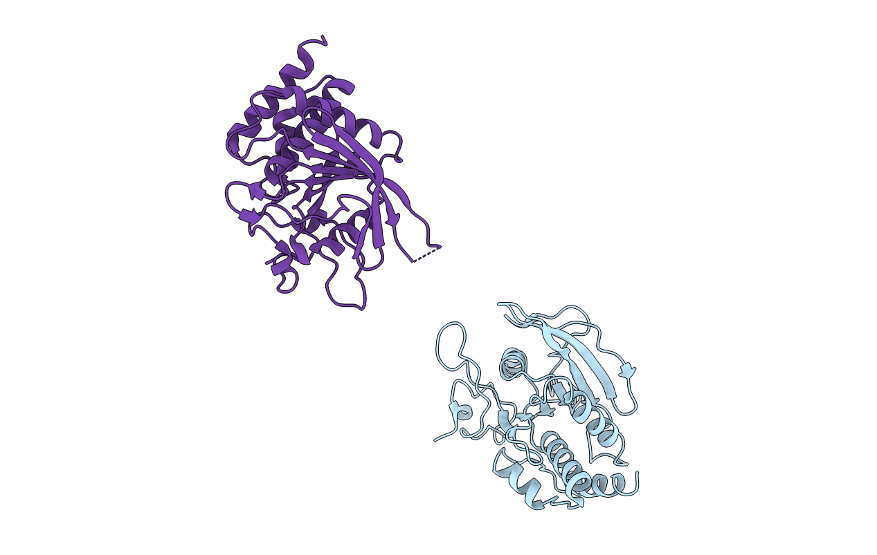 1P15 image