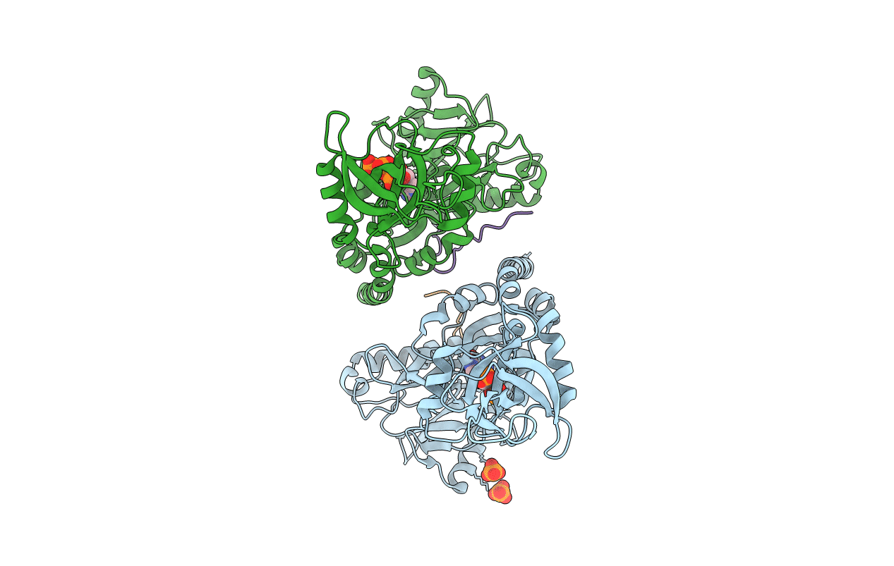 1P16 image