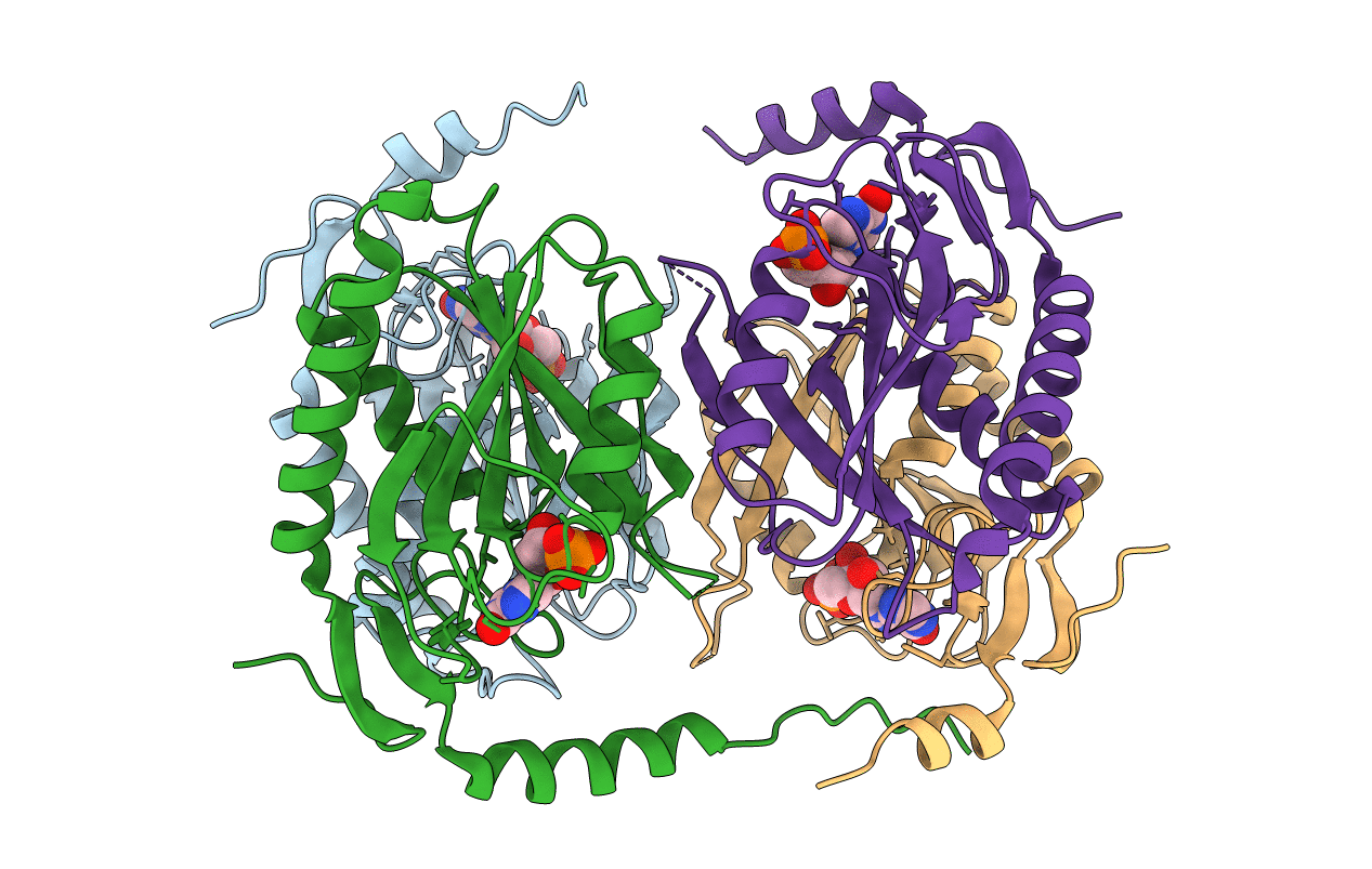 1p17 image