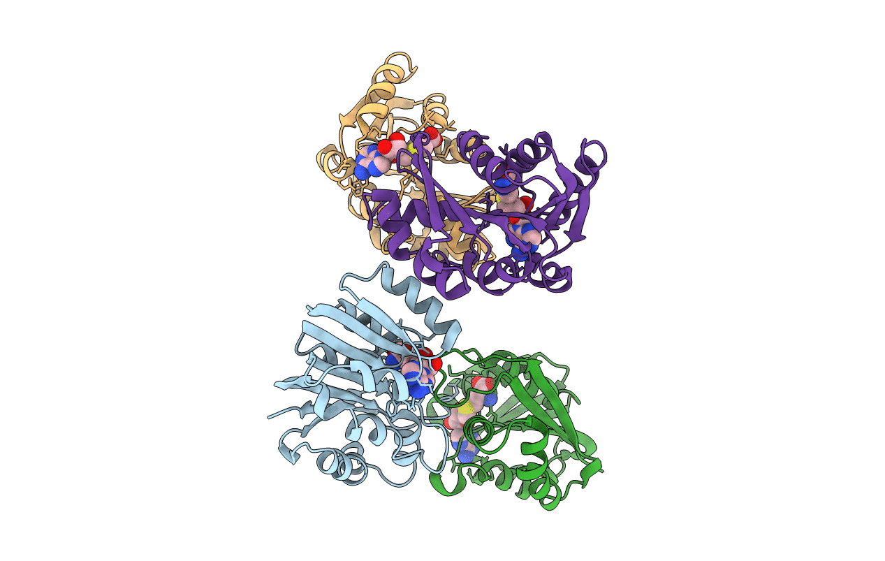 1P1B image