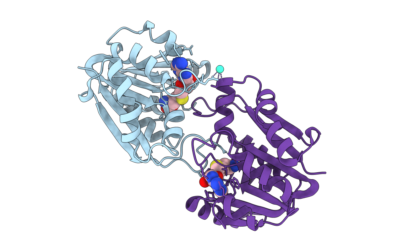 1P1C image