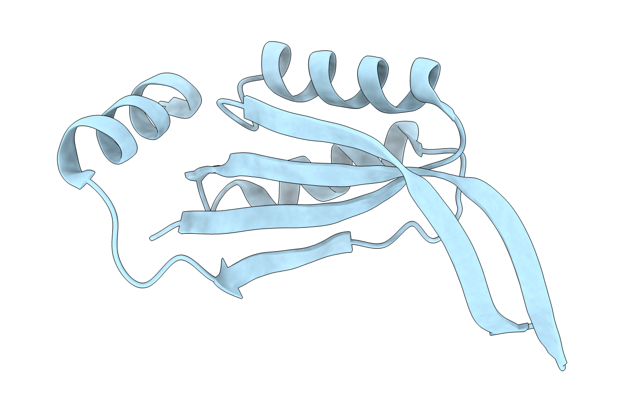 1P1L image