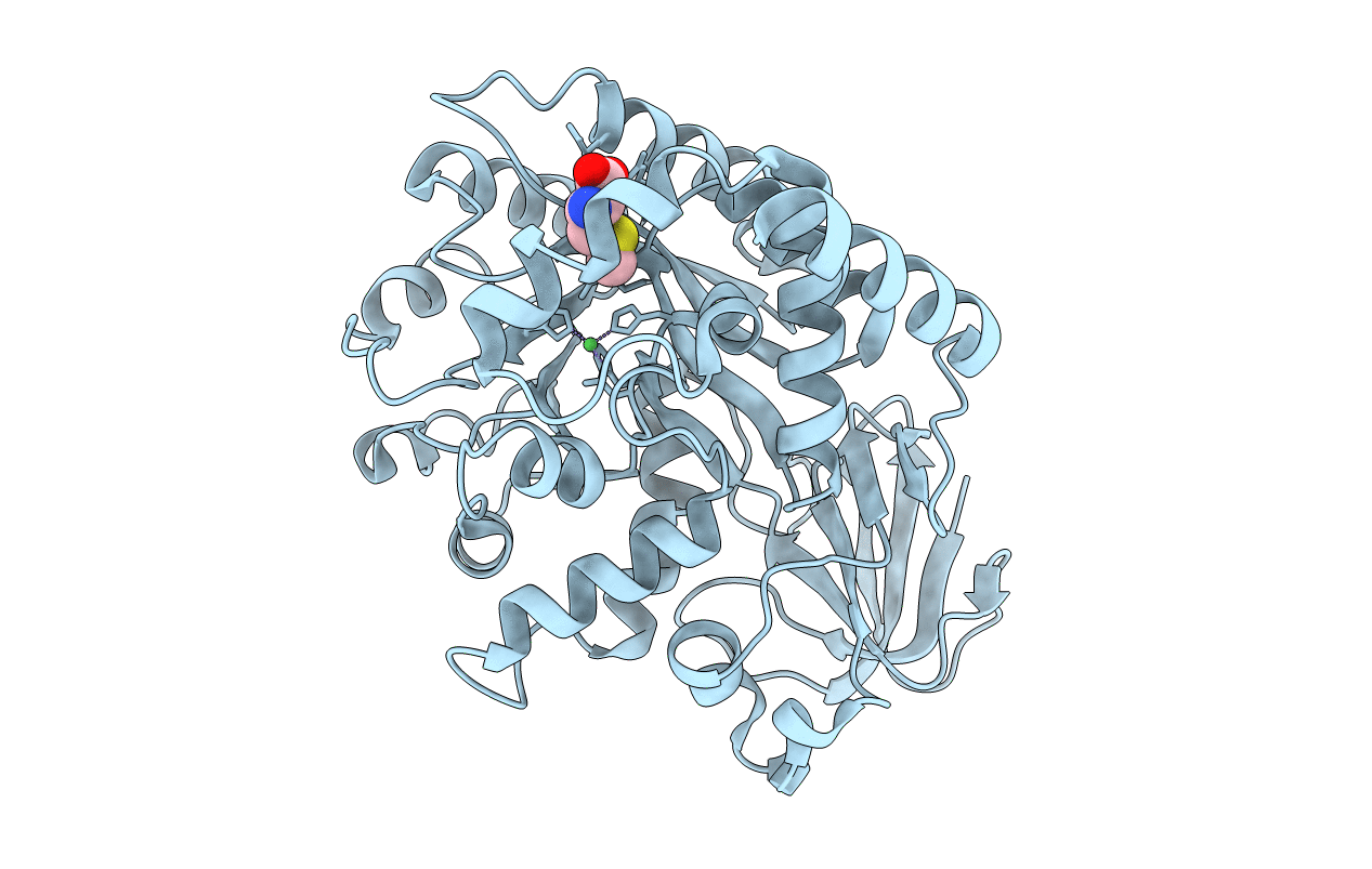 1P1M image