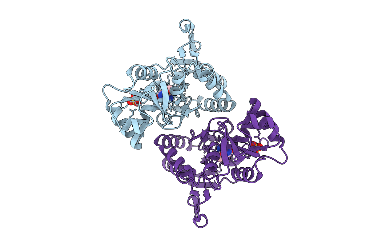 1P1W image