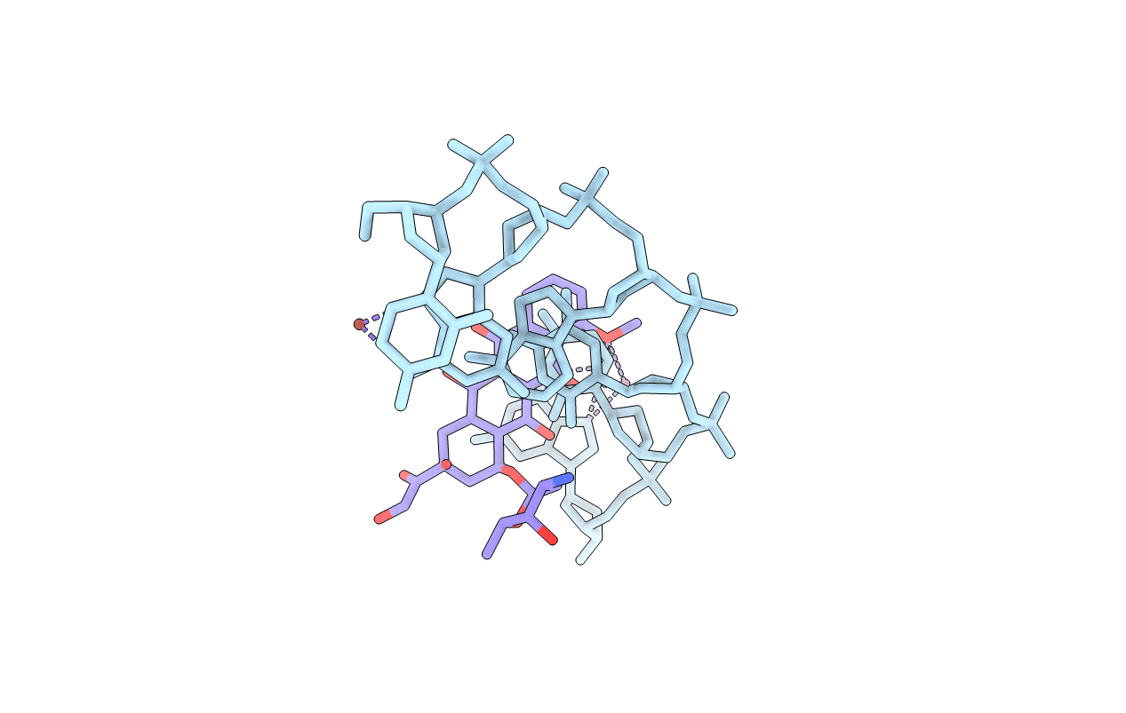 1P20 image