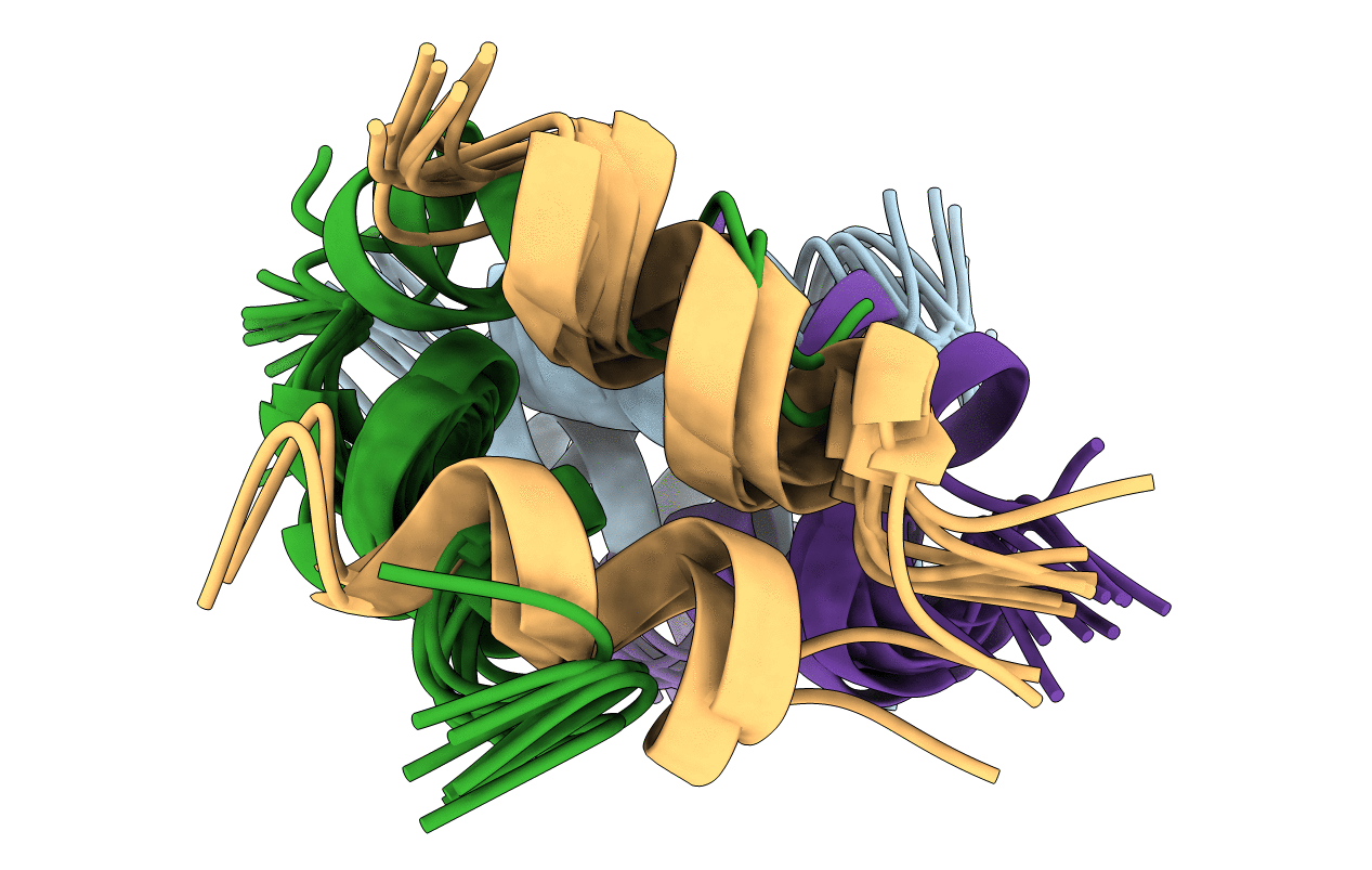 1P23 image