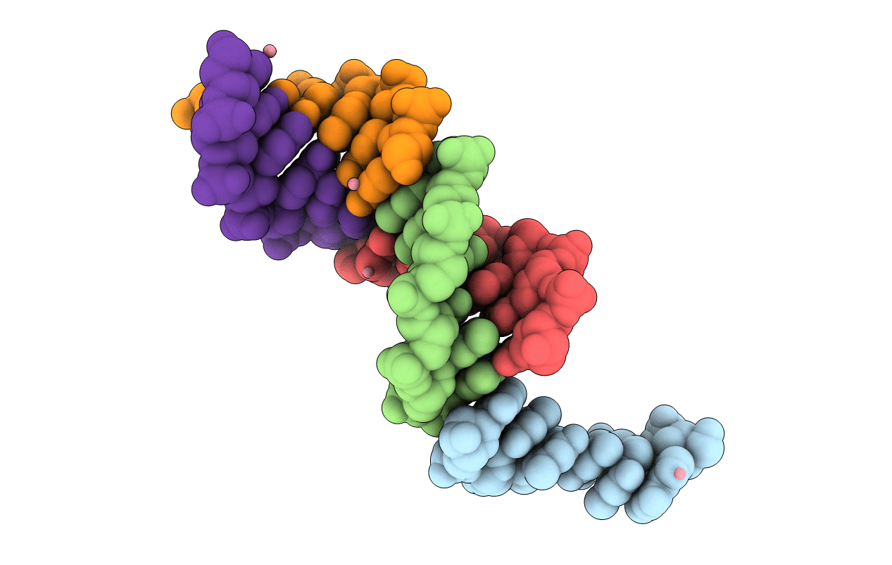 1P24 image