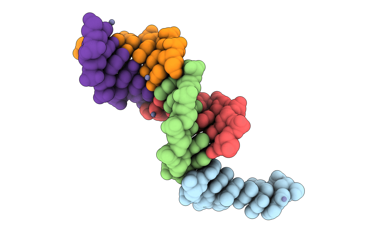 1P26 image
